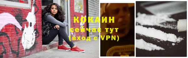 гашик Беломорск