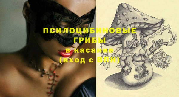 гашик Беломорск