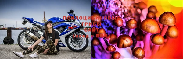 прущая мука Богданович