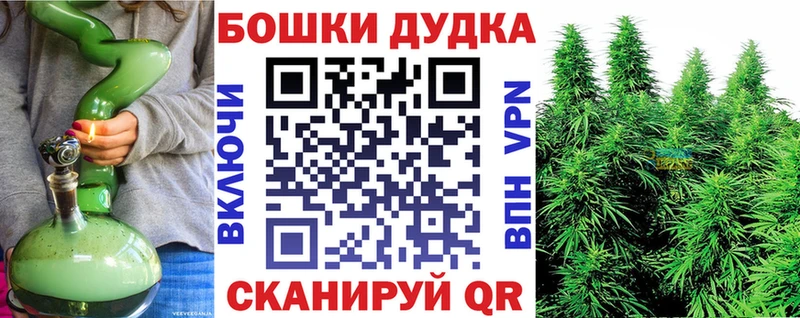 Бошки марихуана сатива  маркетплейс формула  Миасс  купить наркоту 